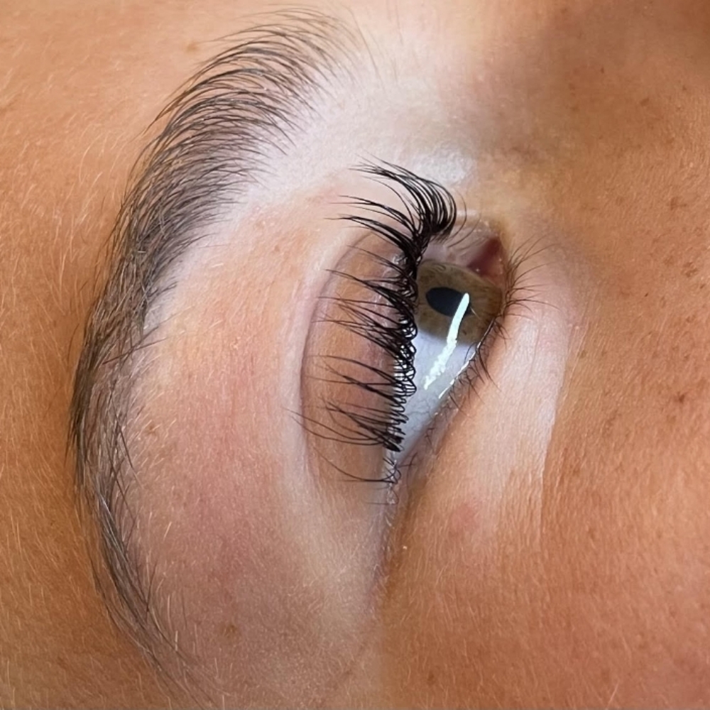 Lash Lift + Tint at La Costa Lash in Encinitas, CA