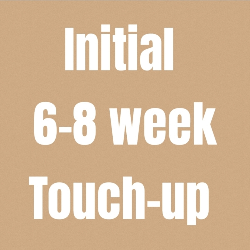Initial 6-8 Week Touch-up at Microblade Me Pretty in Thornville, OH
