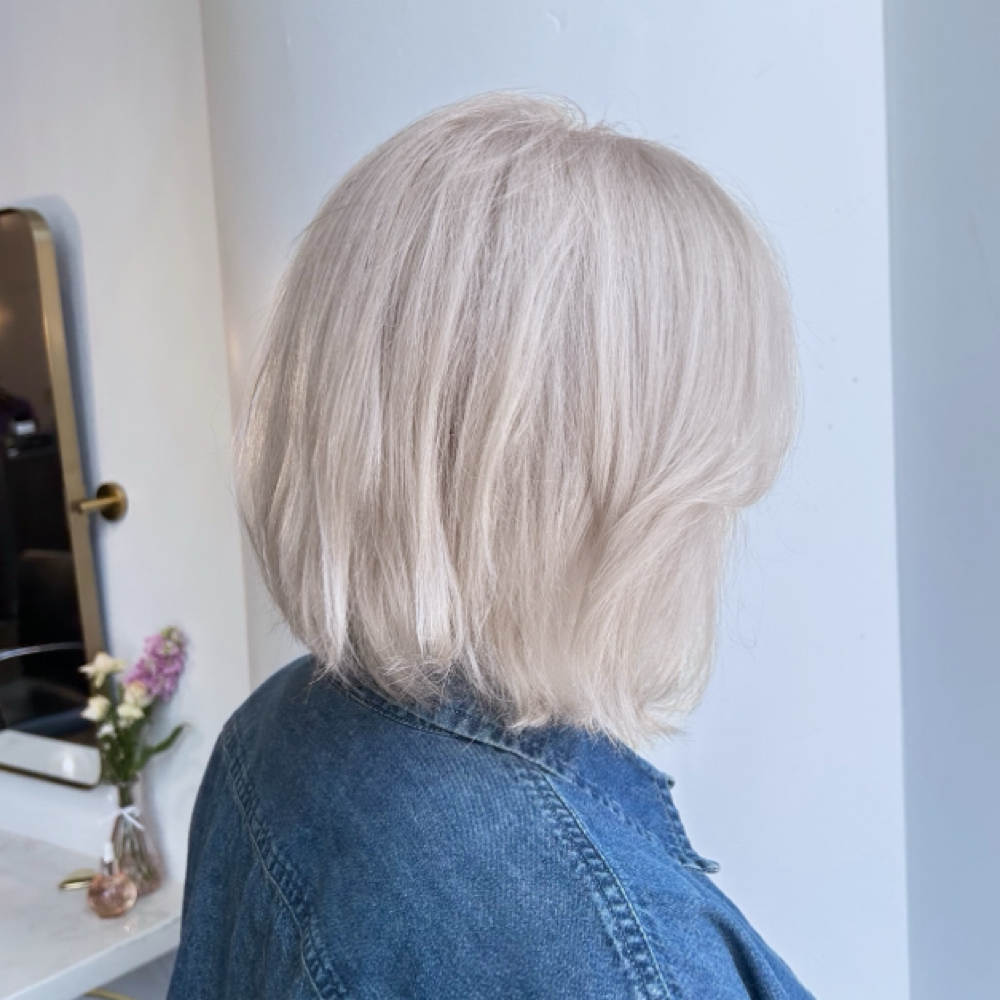 Lara - Platinum Retouch at Salon BECK in Portland, OR
