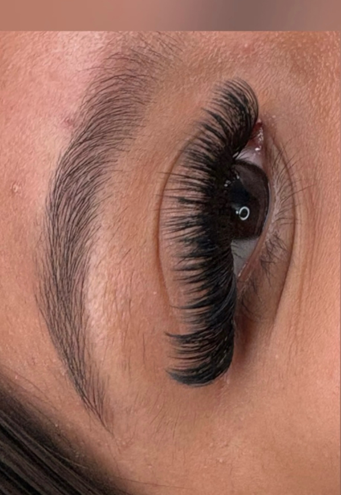 V Fill / Retoque 2 Week