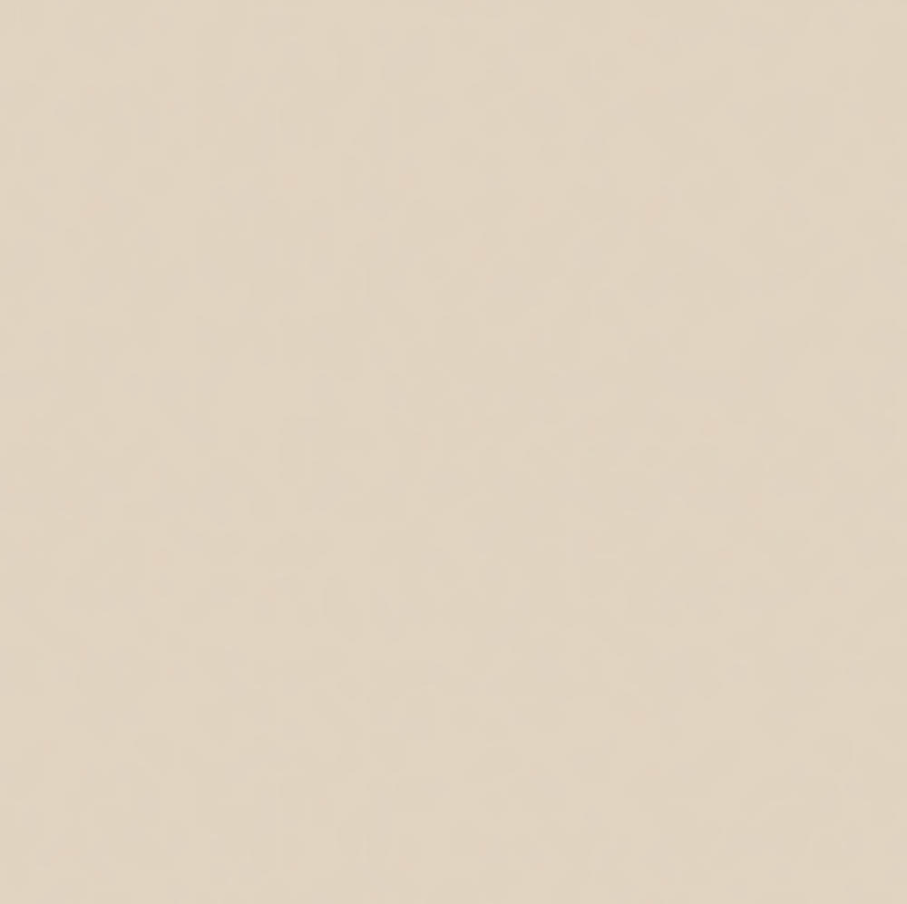 Brow Lamination Reset at From the Brows Down in Parker, CO