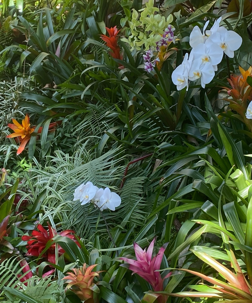 Floral Refresh Spring Special