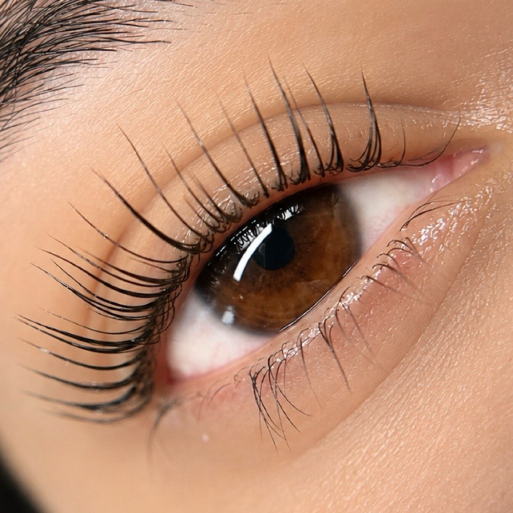 KOREAN LASH LIFT & TINT at SUBLIME BEAUTY STUDIO in MONTEREY, CA