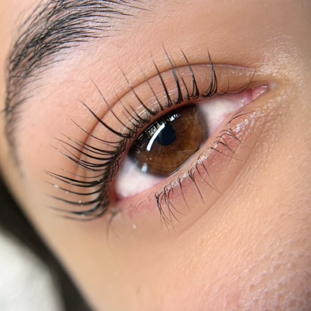 KOREAN LASH LIFT & TINT at SUBLIME BEAUTY STUDIO in MONTEREY, CA