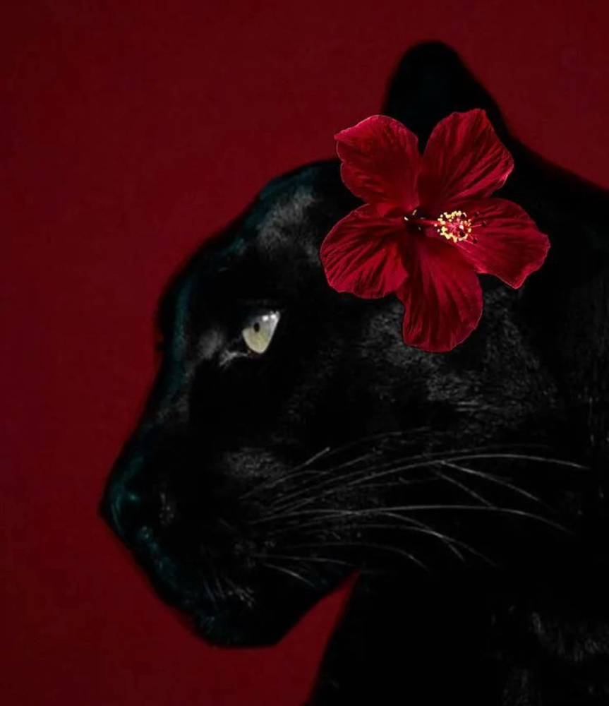 FIRST TIME CLIENT LUCKY FACIAL