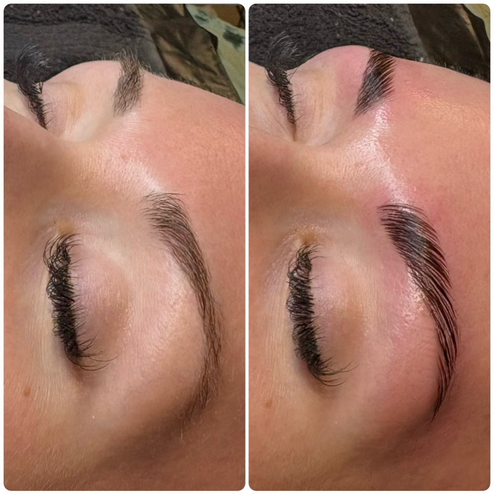 The Brow Lamination & Tint