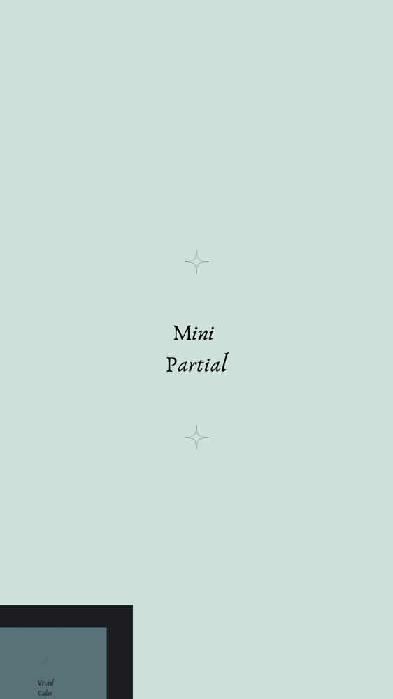 Mini Partial