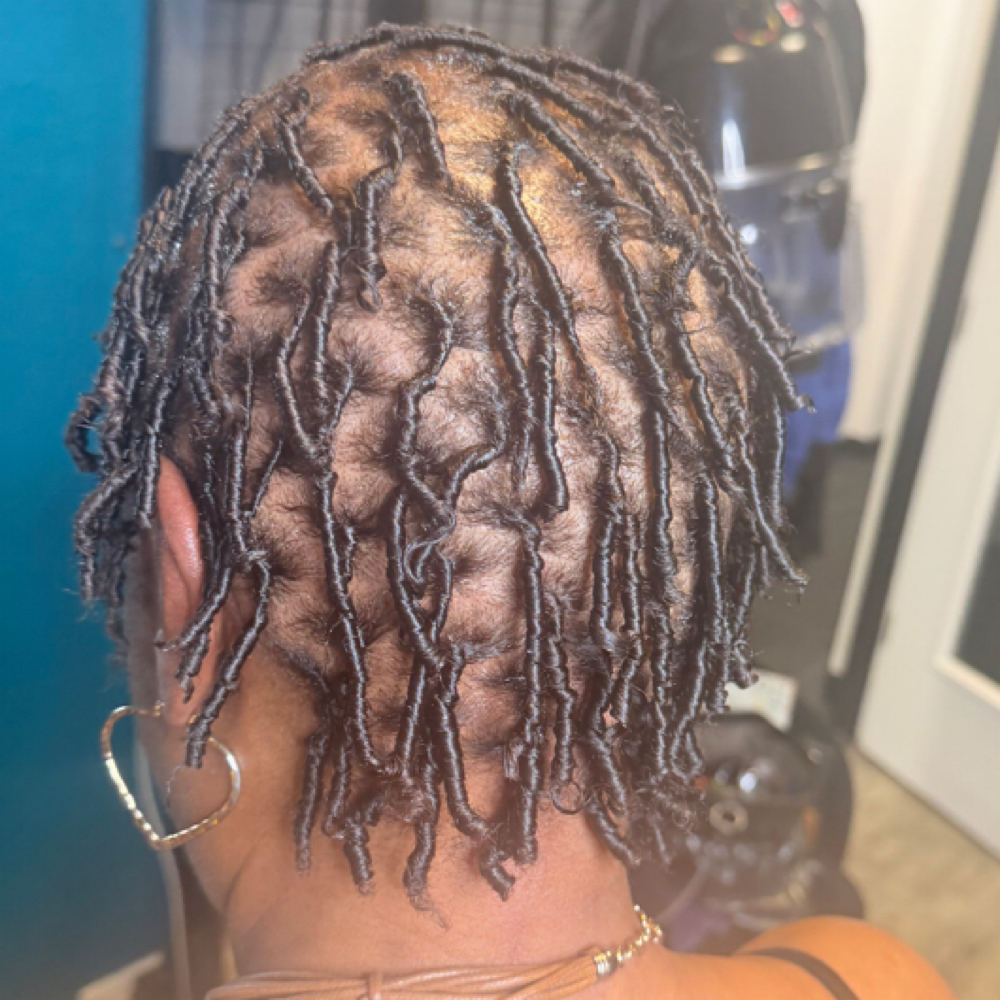 Starter loc-Comb coils Or 2 Strands at By Kaila Nichelle Beauty Studio in Parkville, MD