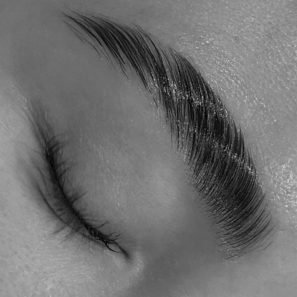 Brow Lamination & Tint at Revive PMU by Damla in Rochester, NY