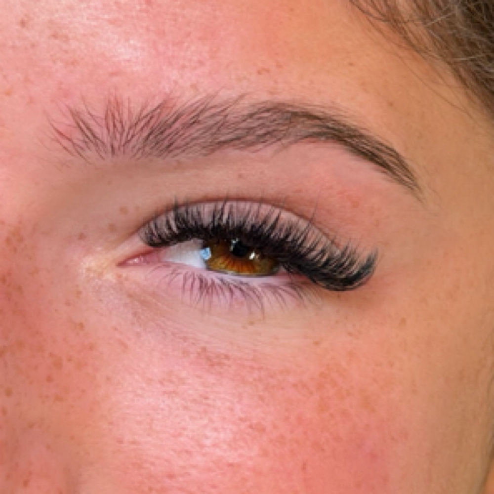 HYBRIDS at Dan Dan Studio in Fairfield, CT