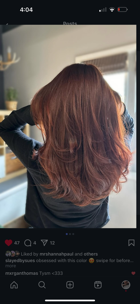 All Over Color(including cut&style)