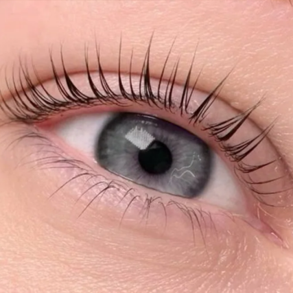 Korean Lash Lift + Tint at Simply Beauty by Tina in Hoover, AL