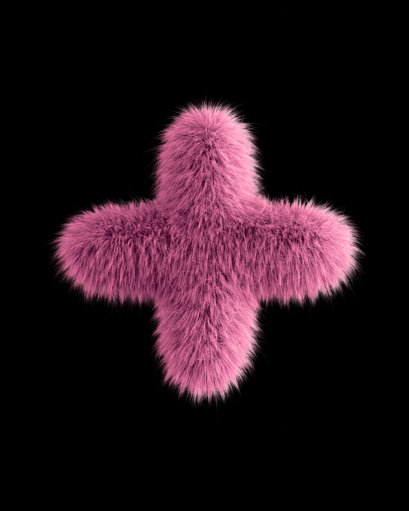 (ADD ON) Enzyme