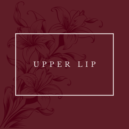 Upper Lip