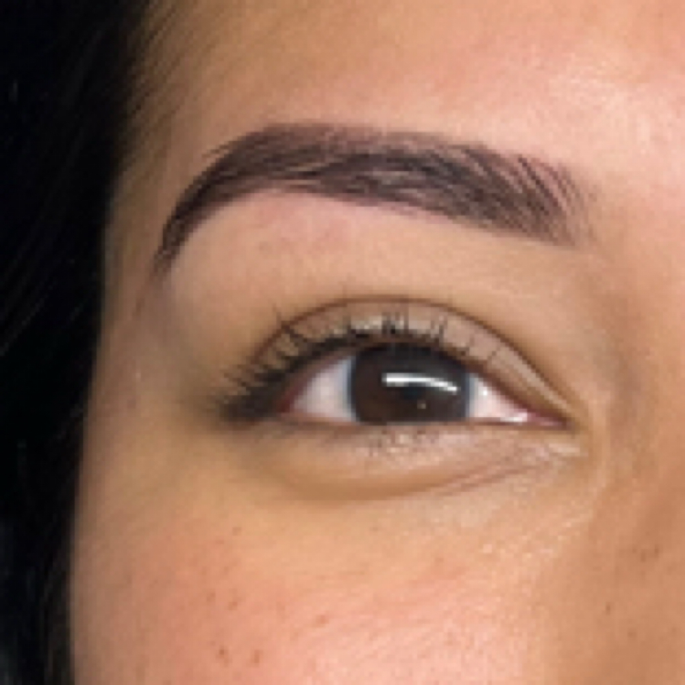 Hybrid Brow Tint at APMU MED SPA | Atlanta Aesthetics & Permanent Makeup in Marietta, GA