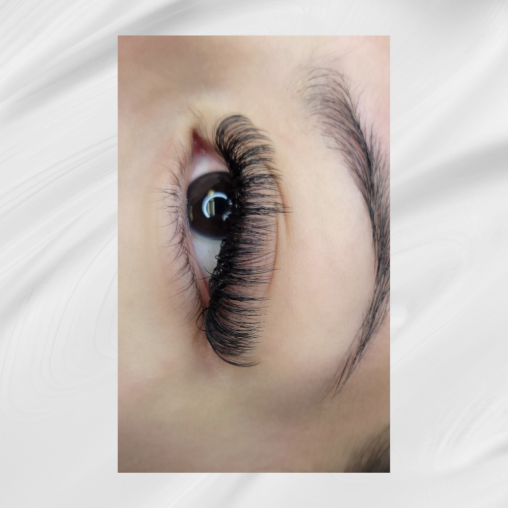 HYBRID LASHES