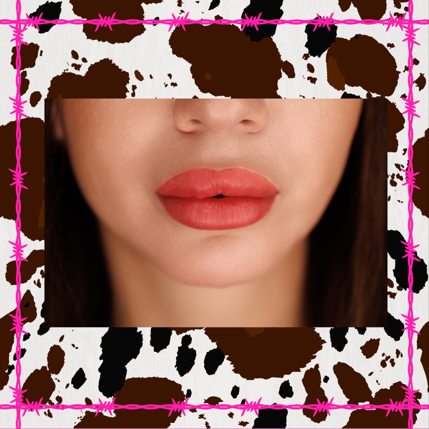 Lip- Touch Up at Paisley Mae LLC - "All The Things" in Black River Falls, WI