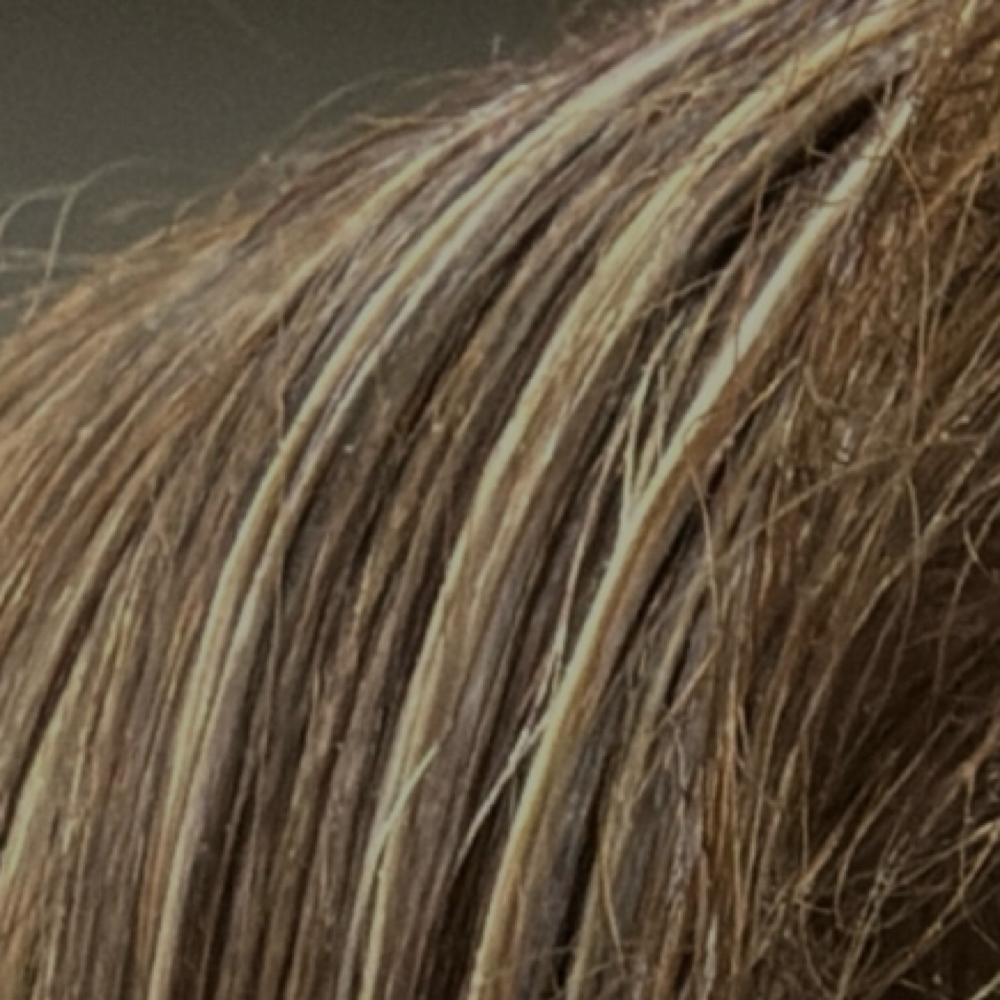 Partial Highlights + Gloss/Haircut/Blowdry at Mane Rose Salon in Webster, TX