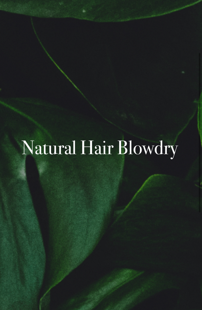 Natural Hair Blowdry at Anestie Beauty Lounge in Franklin Square, NY