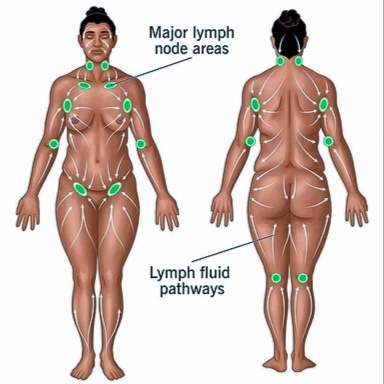 LumiLymph™️ Elite Drain | Sculpt Ri at SKIN PERFECT in CARTERSVILLE, GA