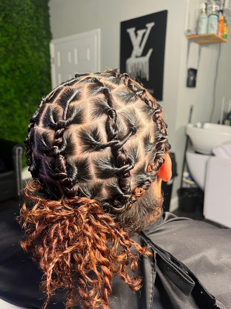 Starter Locs Medium