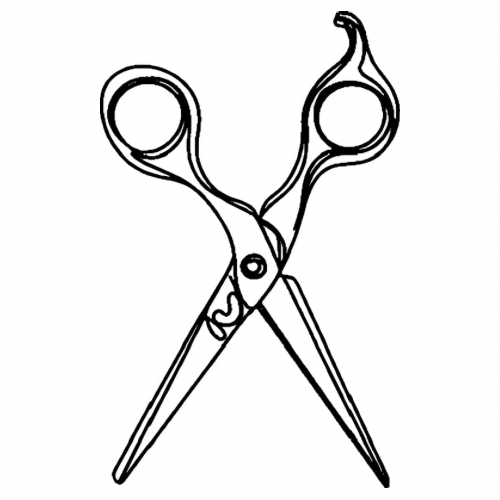 Custom Haircut