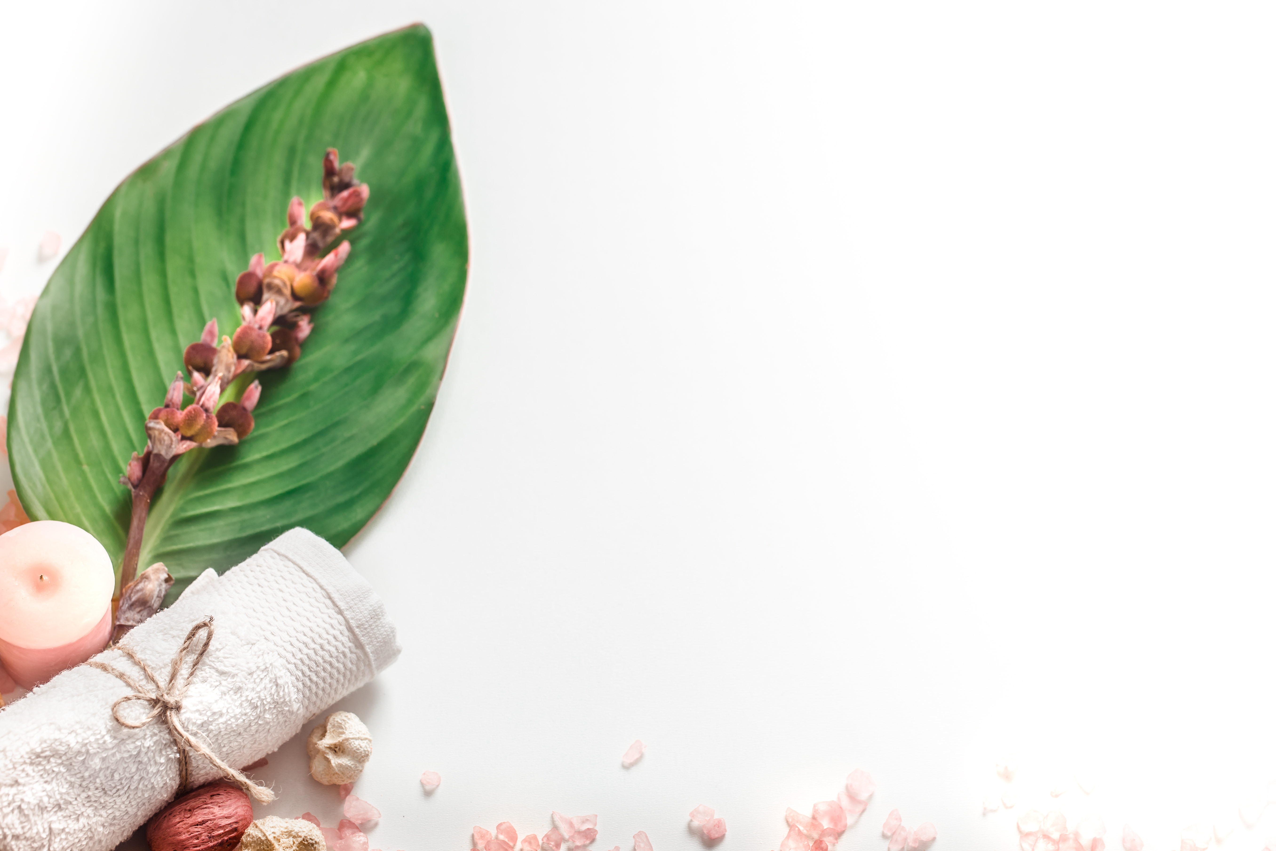 Dermaplaning Facial