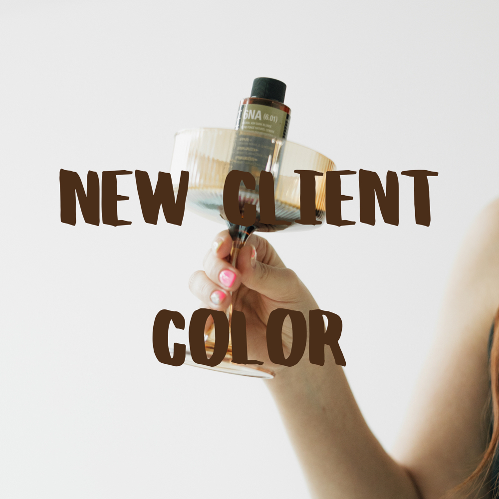 NEW CLIENT COLOR at Hair By Brandee in Tx, TX