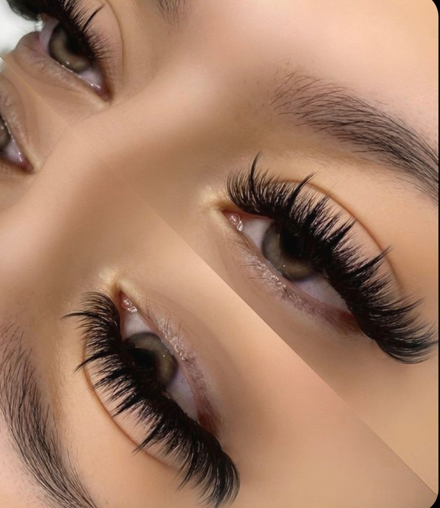 Volume Lashes