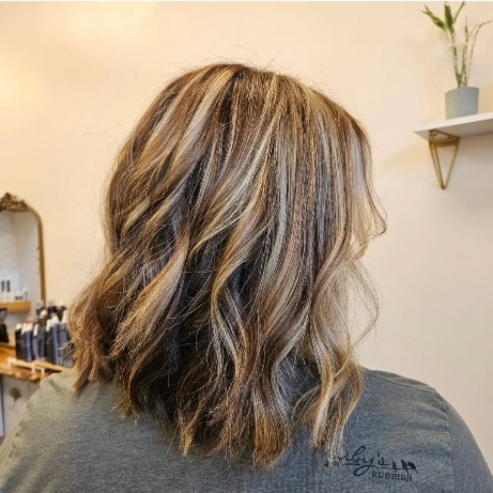 Partial Balayage/Gloss & Style at Salon Blume in Cornelius, NC