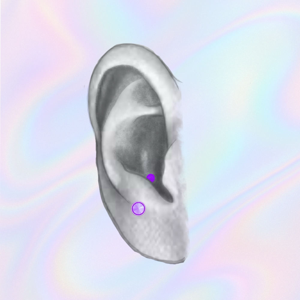 Anti-Tragus at Opalescent Studio in Morgantown, WV