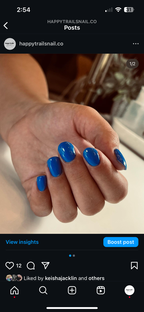 Structure Gel ( Solid color)