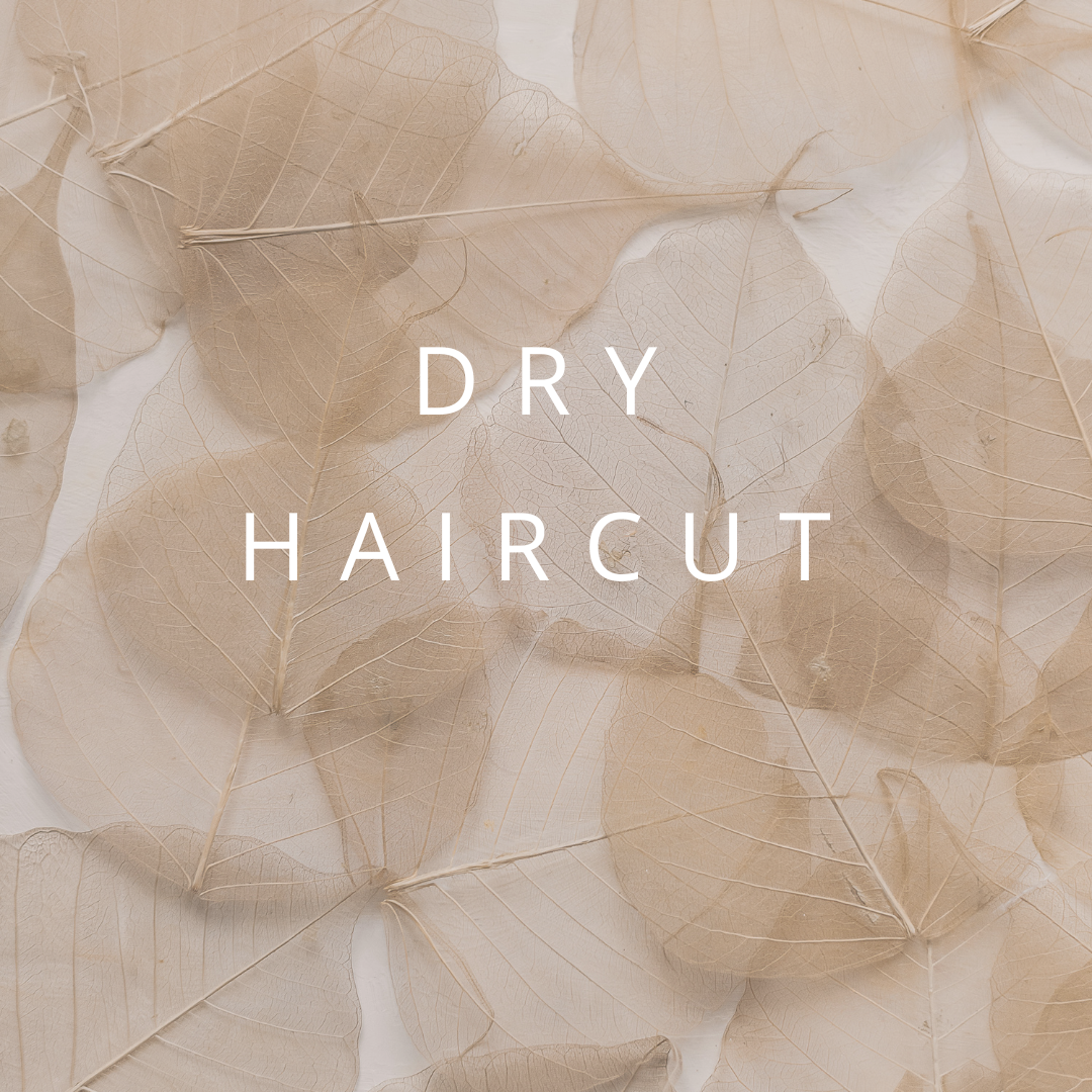 Dry Haircut