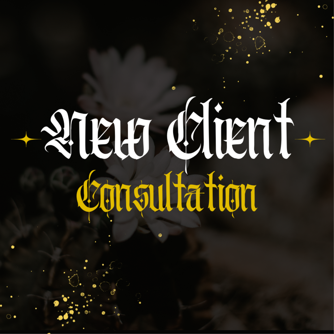 New Client Consultation at Beauty X Natasha in Tempe, AZ