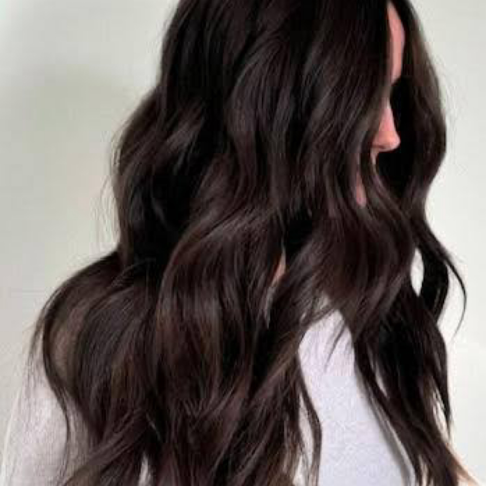 All Over Color for Long Hair at Studio615 in Kernersville, NC