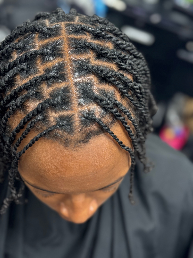 Two Strand Twists