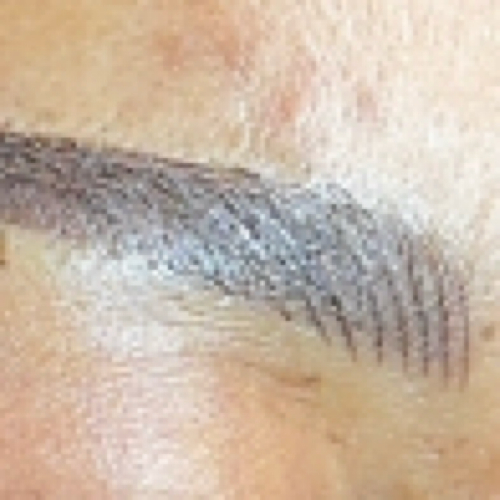 Nano Combo Semi-Permanent at The Brow Factory in Florissant, MO
