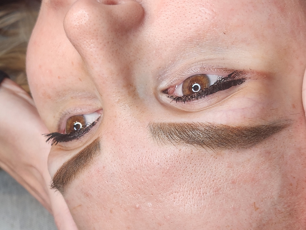 Ombre Brows Or Powder Brows