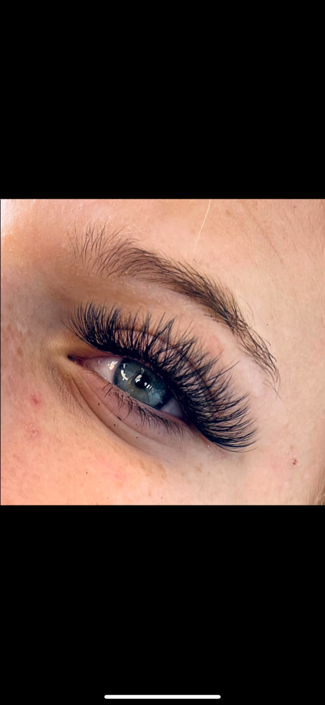 Hybrids at Enchanted Beauty in Idaho Falls, ID