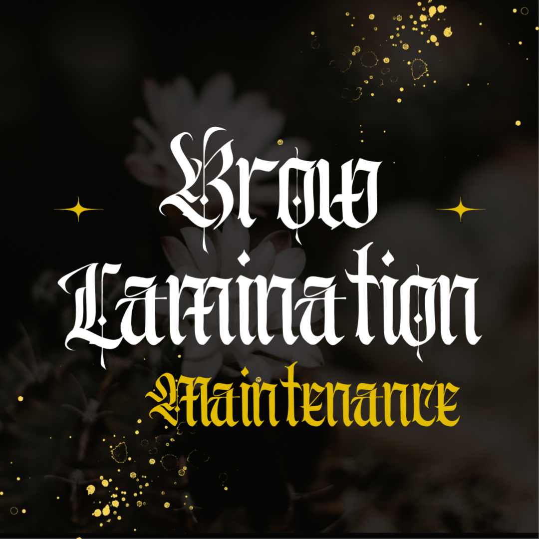 Brow Lamination Maintenance at Beauty X Natasha in Tempe, AZ