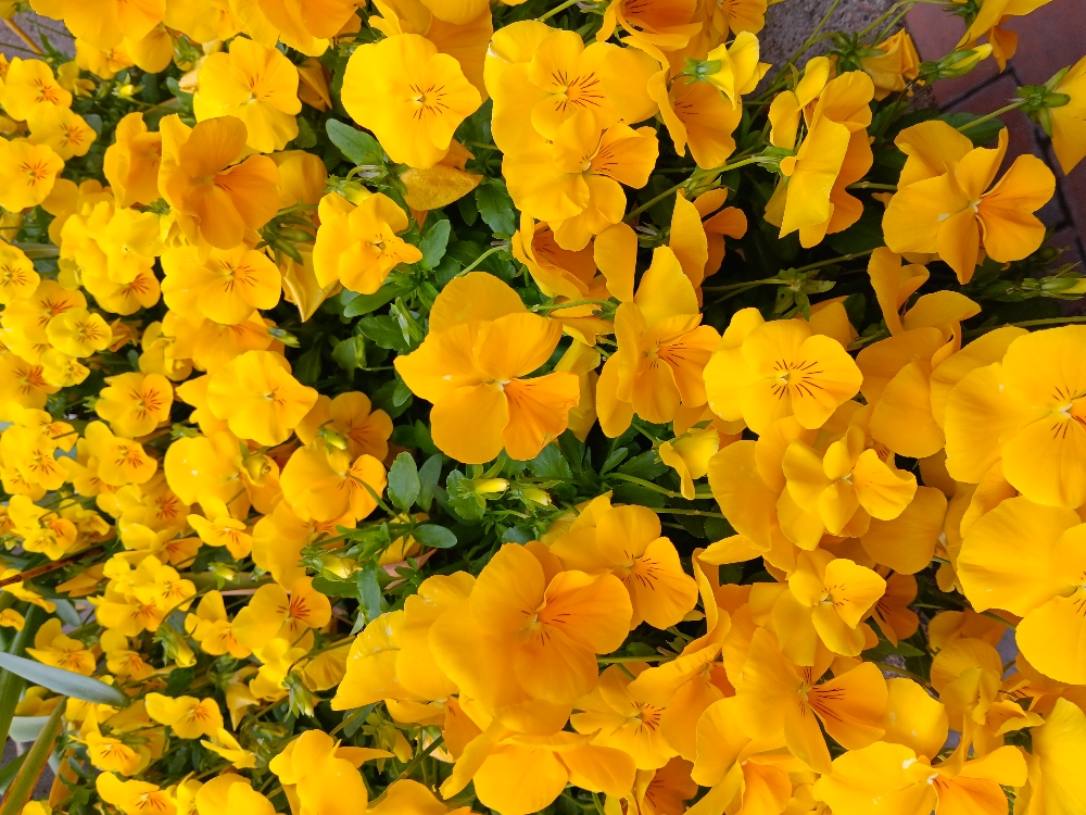 Touch Up After 3 Months Of Appt.