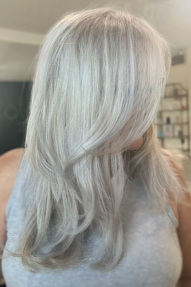 Womens Dry Haircut