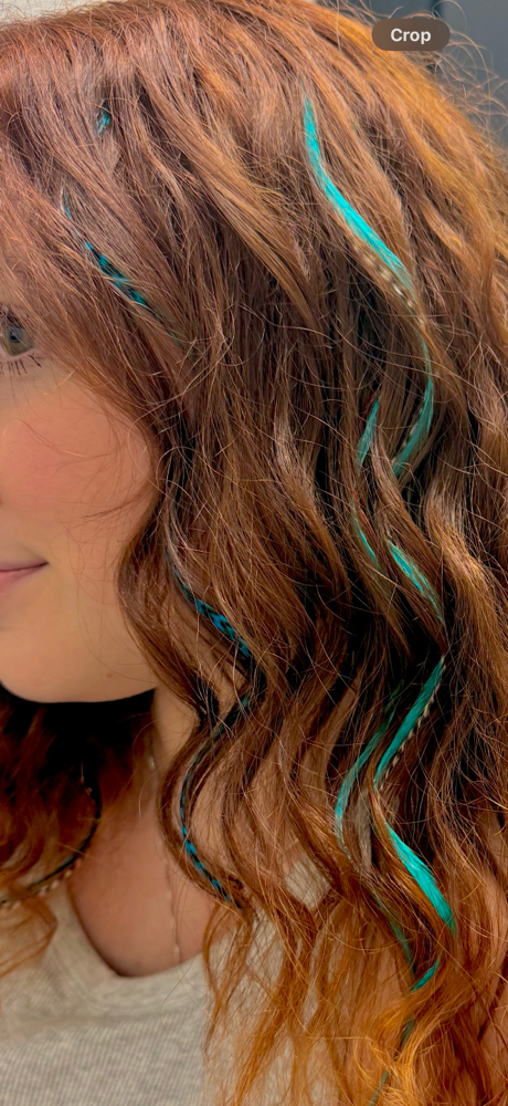 Hair Feather