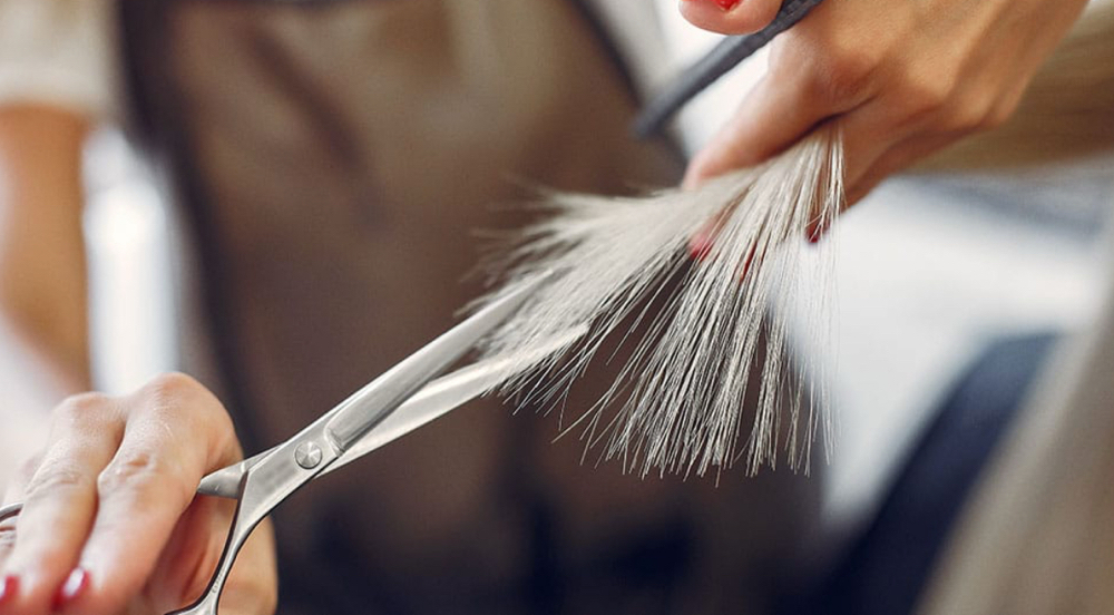 Womens Haircut (dry)