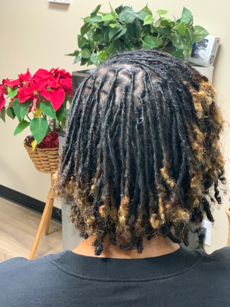 Traditional Starter Locs W/Coils