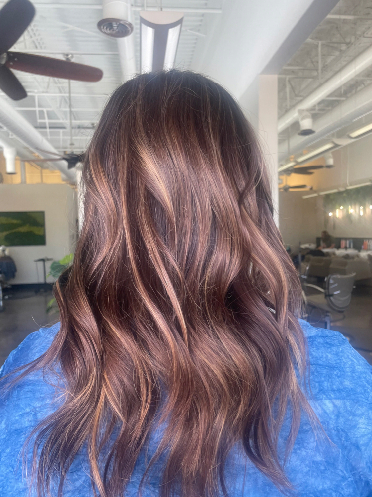 Shampoo/Style w/ Hot Tools