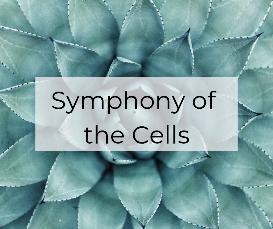 Symphony of Cells - Oil Treatment