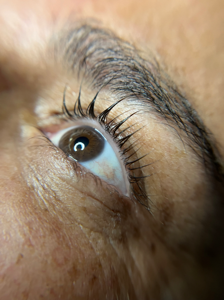 Lash Lift