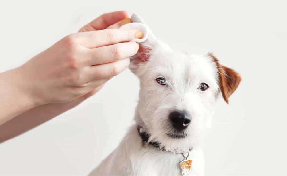 Ear Cleaning
