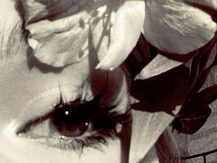 Full Set Lash Extensions